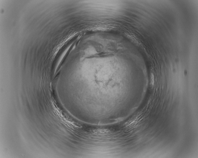 X0000053050444200507251427