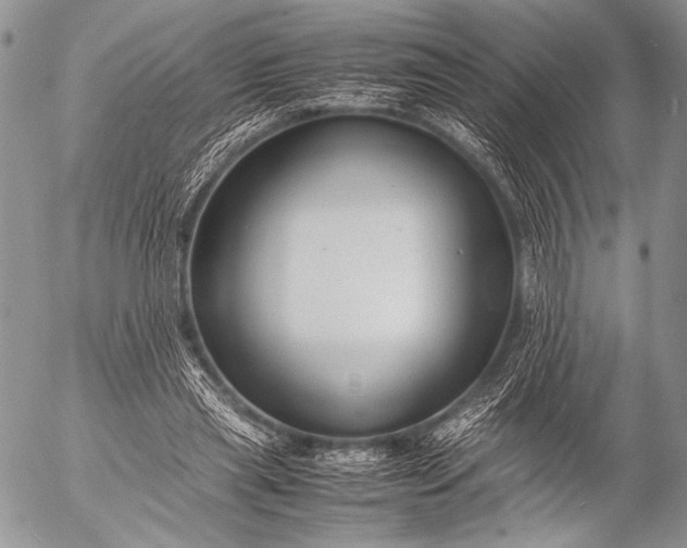 X0000053050445200507251427