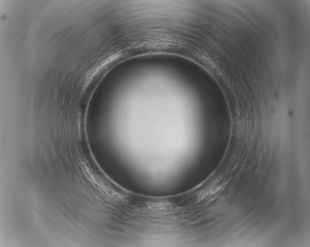 X0000053050446200507251427