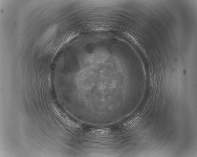 X0000053050447200507251427