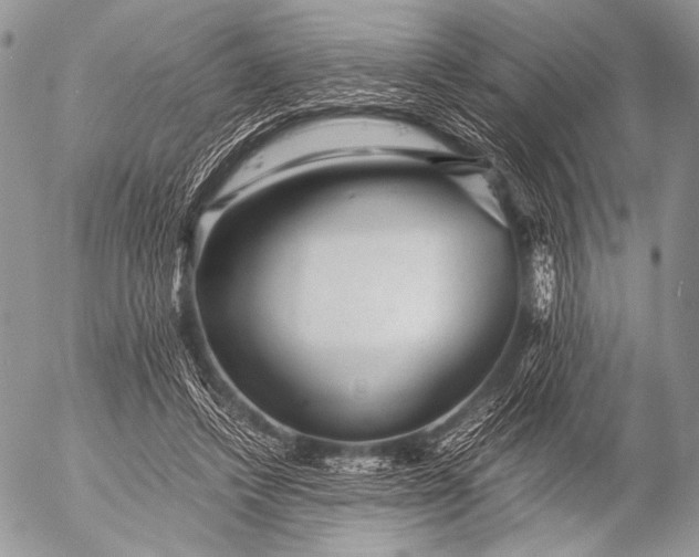 X0000053050448200507251427