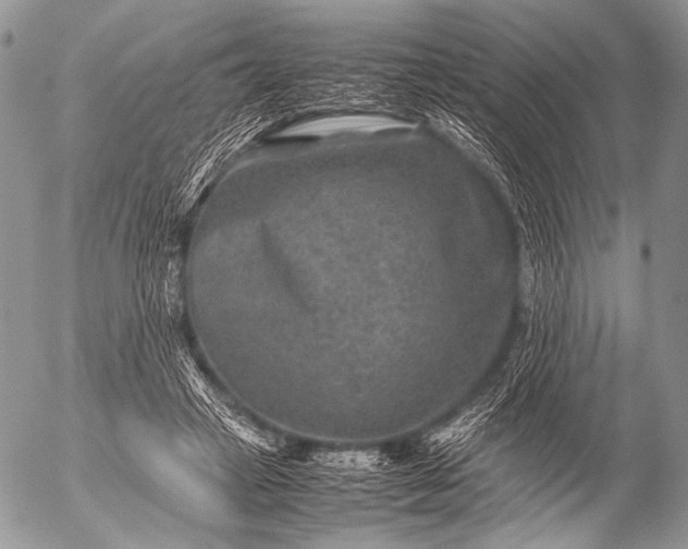 X0000053050449200507251427