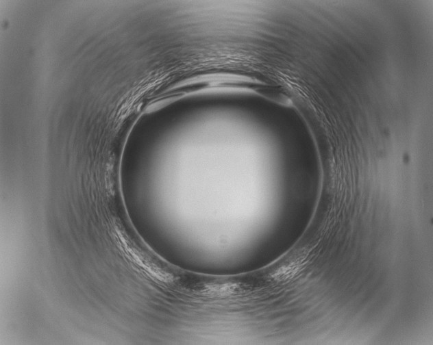 X0000053050450200507251427