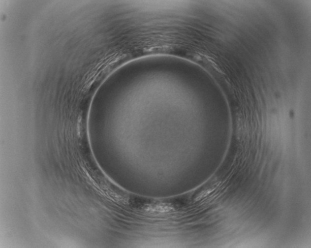 X0000053050451200507251427