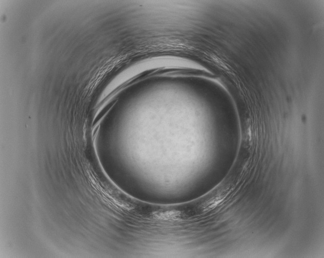 X0000053050452200507251427