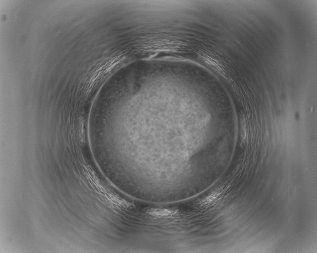 X0000053050453200507251427