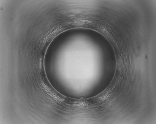 X0000053050454200507251427