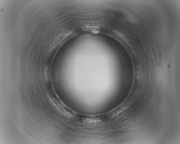 X0000053050455200507251427