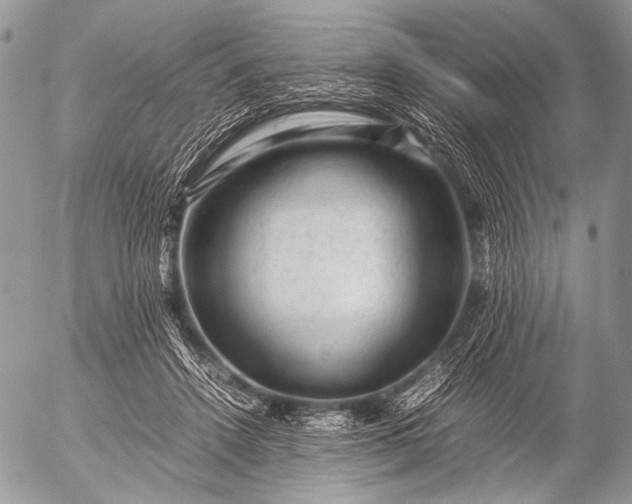 X0000053050456200507251427