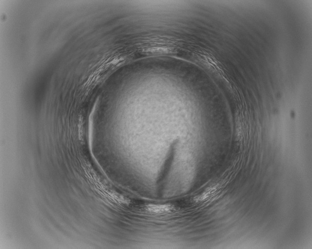 X0000053050457200507251427