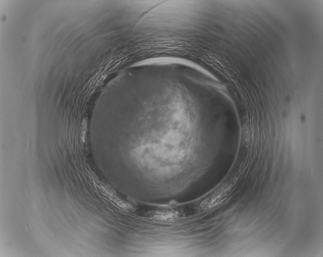 X0000053050458200507251427