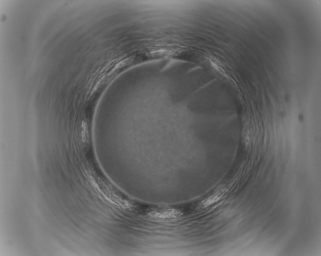 X0000053050459200507251428