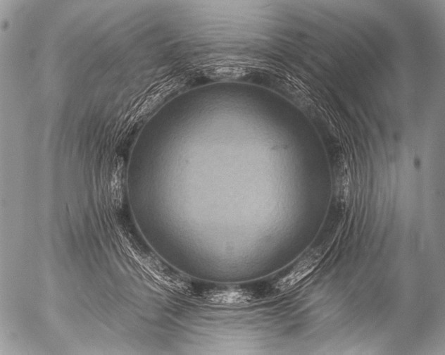 X0000053050460200507251428