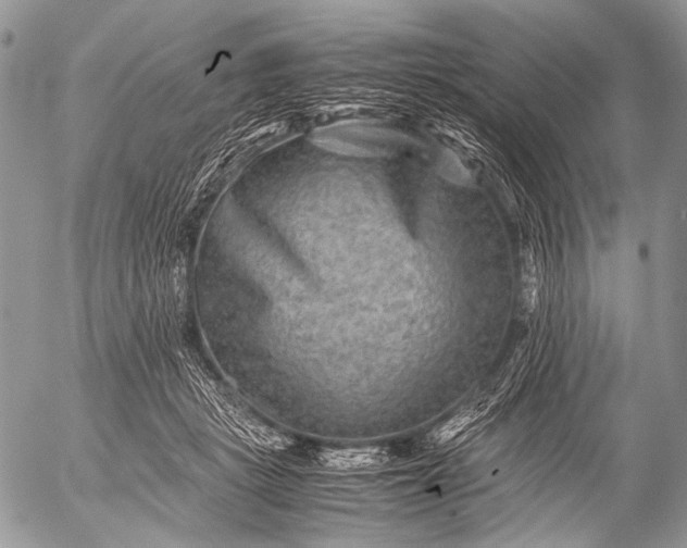 X0000053050461200507251428