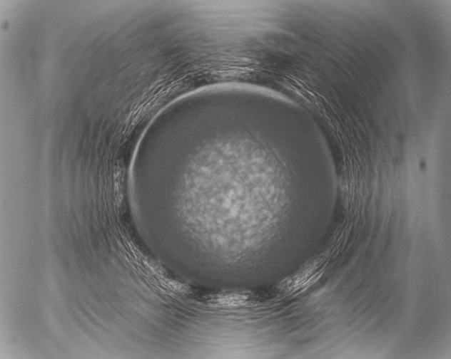 X0000053050462200507251428