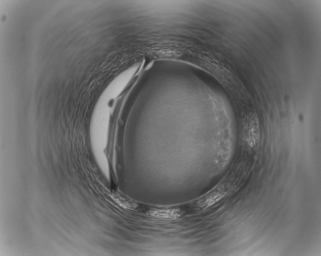 X0000053050465200507251428