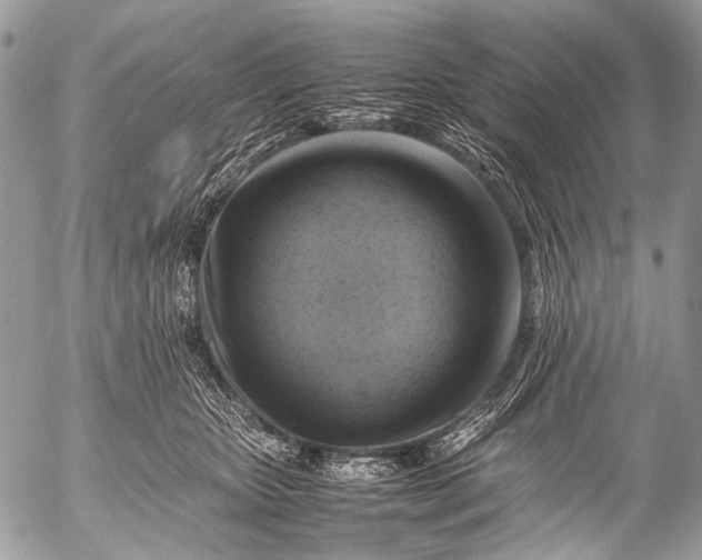 X0000053050467200507251428