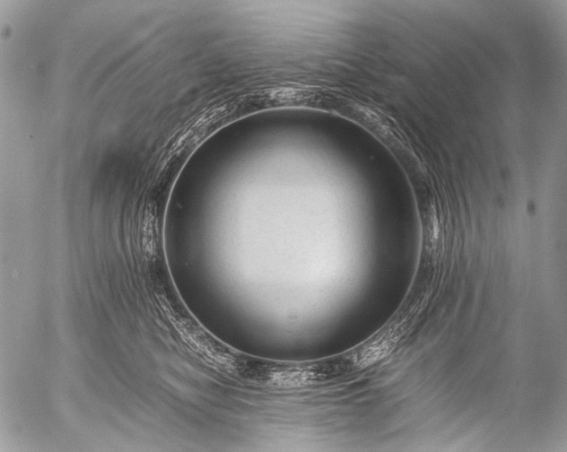 X0000053050470200507251428