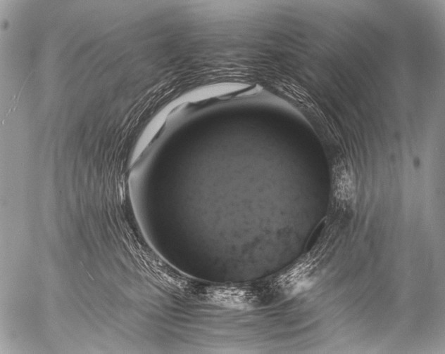 X0000053050471200507251428