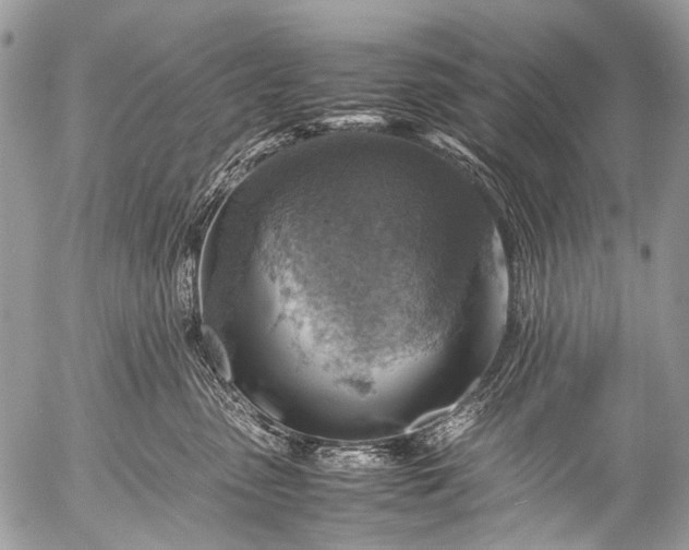 X0000053050475200507251428