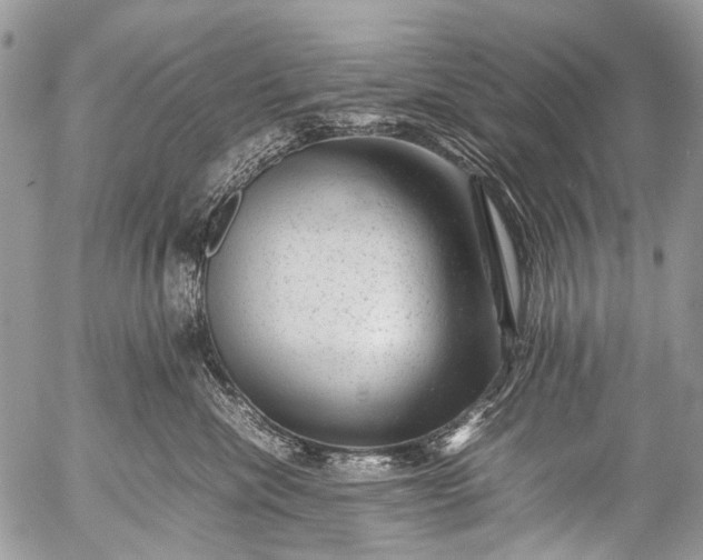 X0000053050476200507251428