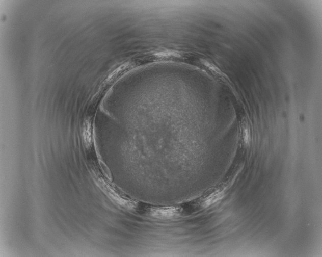 X0000053050479200507251428