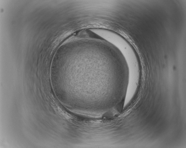 X0000053050481200507251427