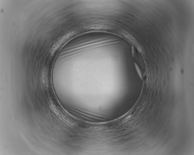 X0000053050482200507251427