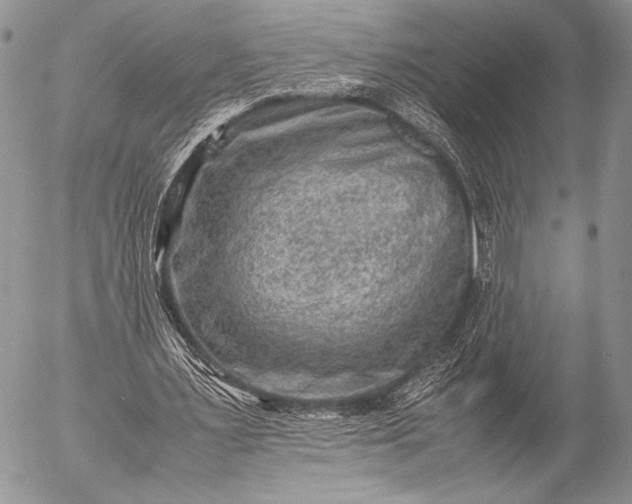 X0000053050483200507251427