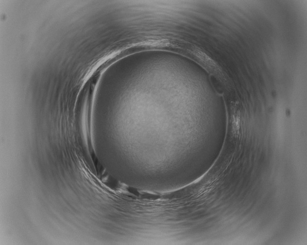 X0000053050484200507251427