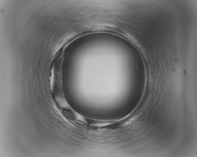 X0000053050485200507251427