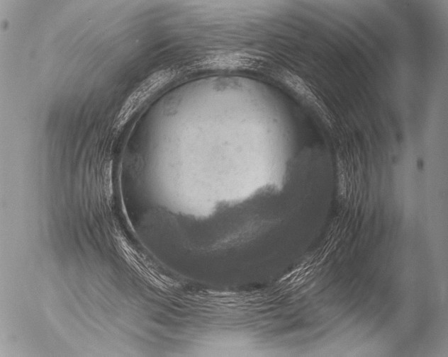 X0000053050486200507251427