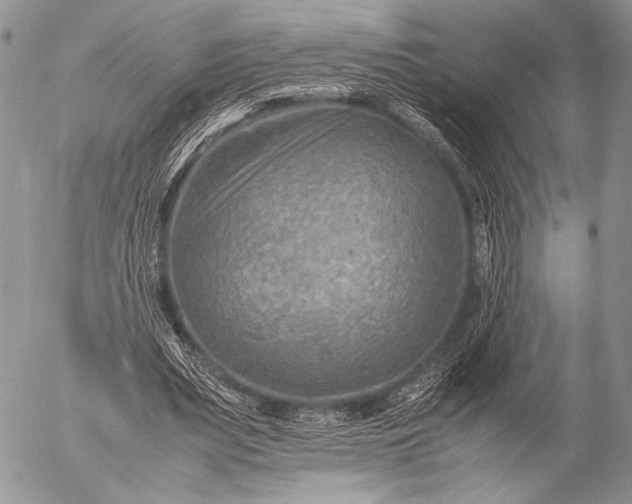 X0000053050487200507251427