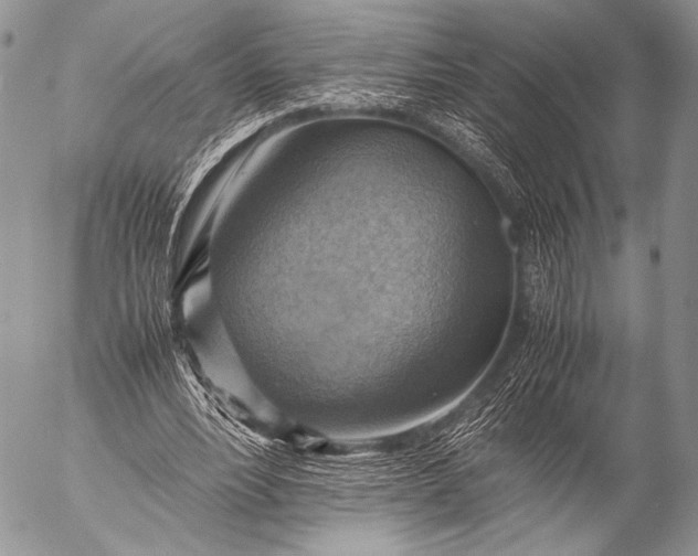 X0000053050488200507251427