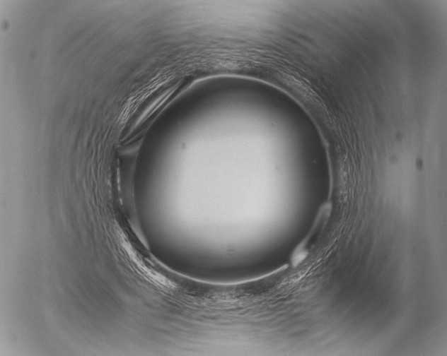 X0000053050489200507251427