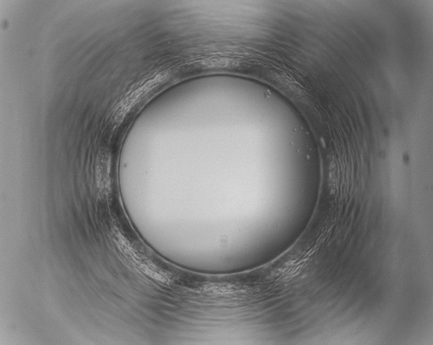 X0000053050490200507251427