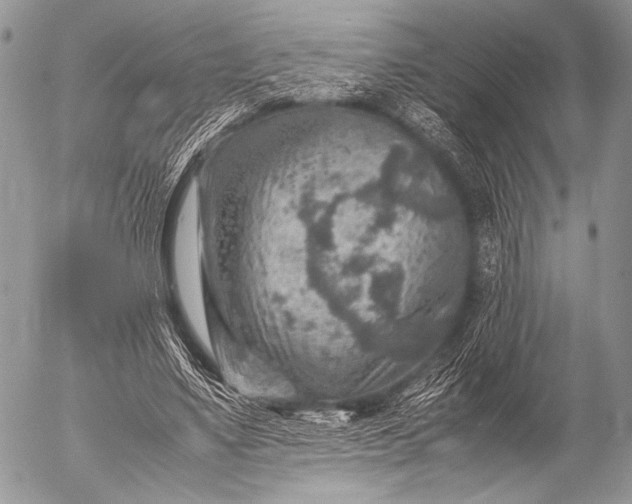 X0000053050491200507251427