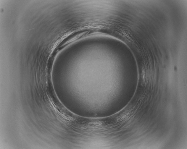 X0000053050492200507251427