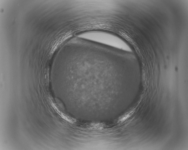 X0000053050493200507251427