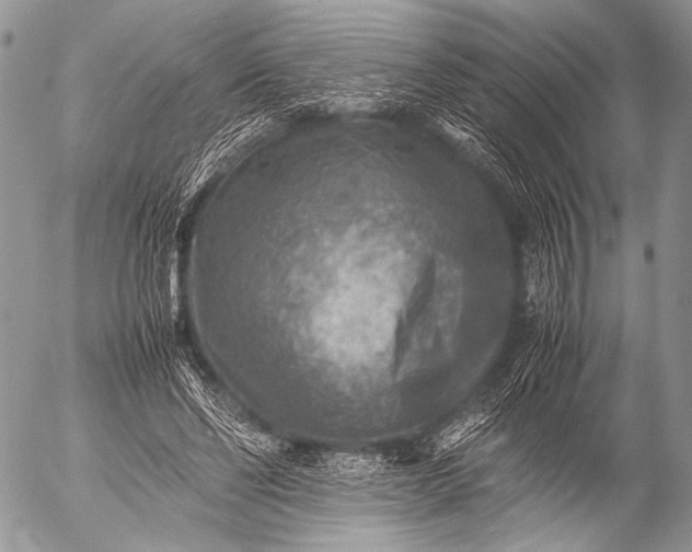 X0000053050494200507251427