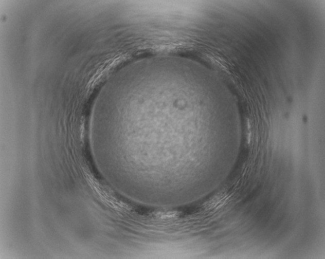 X0000053050495200507251427