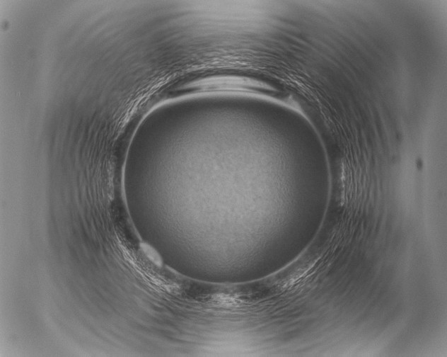 X0000053050496200507251427