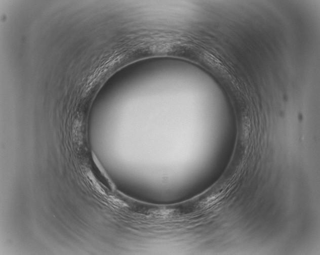 X0000053050497200507251427