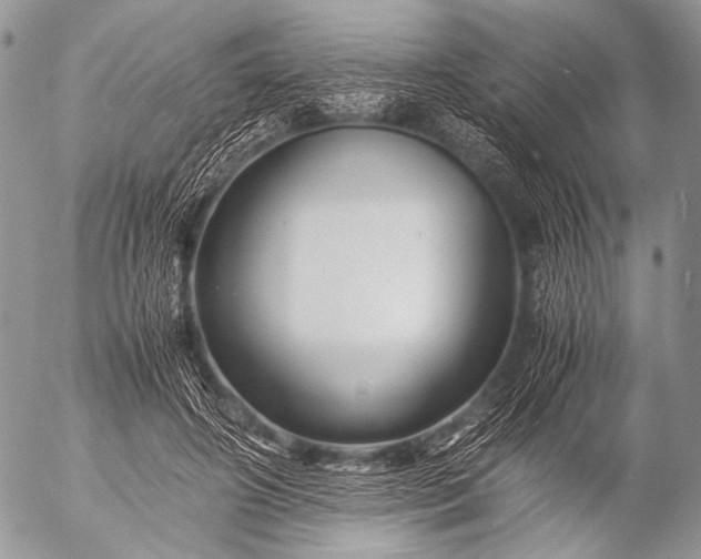 X0000053050498200507251427