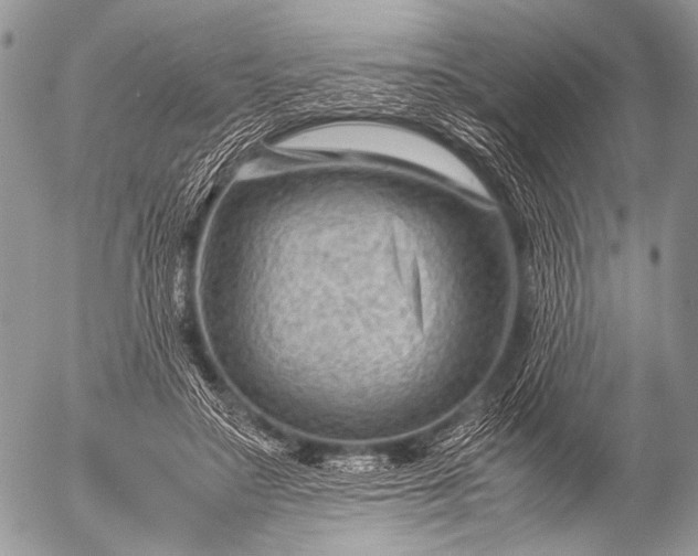 X0000053050499200507251427