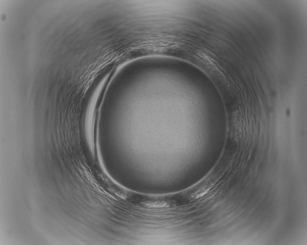 X0000053050500200507251427