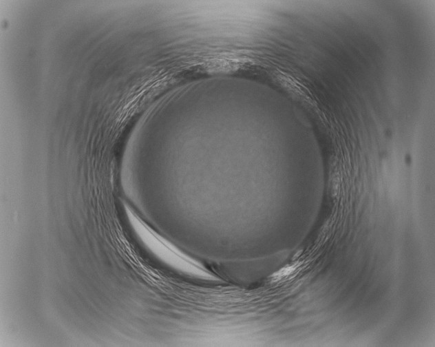 X0000053050501200507251427