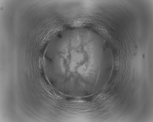 X0000053050503200507251427