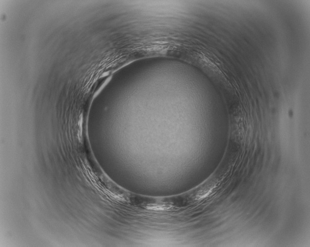 X0000053050504200507251427