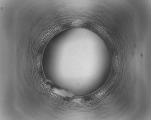 X0000053050505200507251427